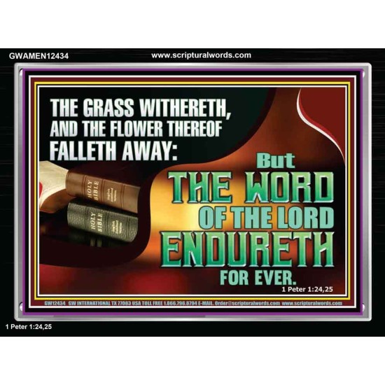 THE WORD OF THE LORD ENDURETH FOR EVER  Sanctuary Wall Acrylic Frame  GWAMEN12434  