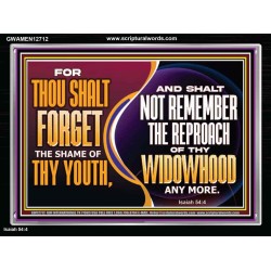 THOU SHALT FORGET THE SHAME OF THY YOUTH  Encouraging Bible Verse Acrylic Frame  GWAMEN12712  "33x25"