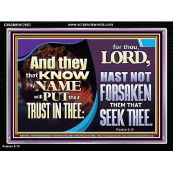 THEY THAT KNOW THY NAME WILL NOT BE FORSAKEN  Biblical Art Glass Acrylic Frame  GWAMEN12983  "33x25"