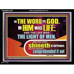 THE LIGHT SHINETH IN DARKNESS YET THE DARKNESS DID NOT OVERCOME IT  Ultimate Power Picture  GWAMEN12987  "33x25"