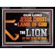 THE LION OF THE TRIBE OF JUDA CHRIST JESUS  Ultimate Inspirational Wall Art Acrylic Frame  GWAMEN12993  