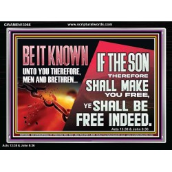 IF THE SON THEREFORE SHALL MAKE YOU FREE  Ultimate Inspirational Wall Art Acrylic Frame  GWAMEN13066  "33x25"