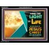 THE LIGHT OF LIFE OUR LORD JESUS CHRIST  Righteous Living Christian Acrylic Frame  GWAMEN9552  "33x25"