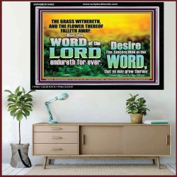 THE WORD OF THE LORD ENDURETH FOR EVER  Christian Wall Décor Acrylic Frame  GWAMEN10493  "33x25"