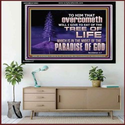 HE THAT OVERCOMETH  Bible Verse Acrylic Frame  GWAMEN10583  "33x25"