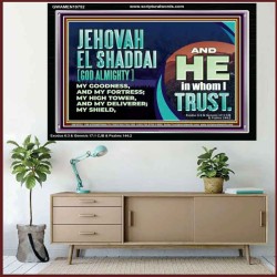 JEHOVAH EL SHADDAI GOD ALMIGHTY OUR GOODNESS FORTRESS HIGH TOWER DELIVERER AND SHIELD  Christian Quotes Acrylic Frame  GWAMEN10752  "33x25"