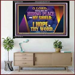 THOU ART MY HIDING PLACE AND SHIELD  Bible Verses Wall Art Acrylic Frame  GWAMEN12045  "33x25"