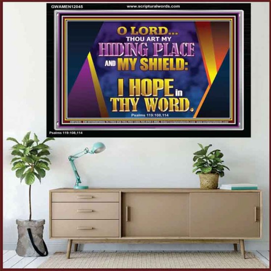THOU ART MY HIDING PLACE AND SHIELD  Bible Verses Wall Art Acrylic Frame  GWAMEN12045  