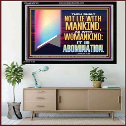 THOU SHALT NOT LIE WITH MANKIND AS WITH WOMANKIND IT IS ABOMINATION  Bible Verse for Home Acrylic Frame  GWAMEN12169  "33x25"