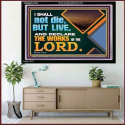 I SHALL NOT DIE BUT LIVE AND DECLARE THE WORKS OF THE LORD  Eternal Power Acrylic Frame  GWAMEN13034  "33x25"