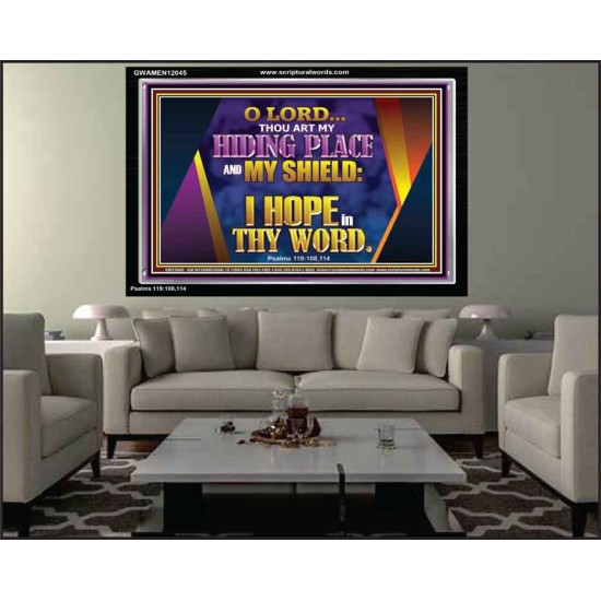 THOU ART MY HIDING PLACE AND SHIELD  Bible Verses Wall Art Acrylic Frame  GWAMEN12045  