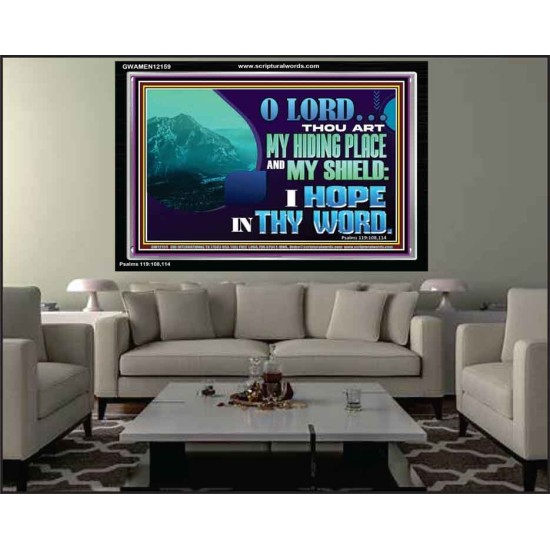 THOU ART MY HIDING PLACE AND SHIELD  Large Custom Acrylic Frame   GWAMEN12159  