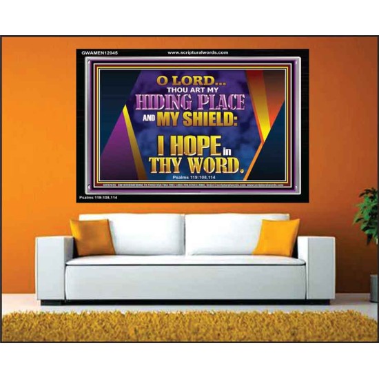 THOU ART MY HIDING PLACE AND SHIELD  Bible Verses Wall Art Acrylic Frame  GWAMEN12045  