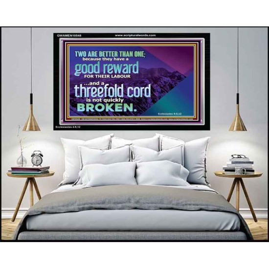 TWO ARE BETTER THAN ONE  Contemporary Christian Wall Art Acrylic Frame  GWAMEN10548  