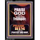 PRAISE HIM WITH TRUMPET, PSALTERY AND HARP  Inspirational Bible Verses Portrait  GWAMEN10063  