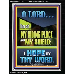 JEHOVAH OUR HIDING PLACE AND SHIELD  Encouraging Bible Verses Portrait  GWAMEN11778  "25x33"