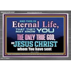 CHRIST JESUS THE ONLY WAY TO ETERNAL LIFE  Sanctuary Wall Acrylic Frame  GWANCHOR10397  "33X25"