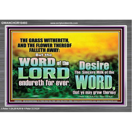 THE WORD OF THE LORD ENDURETH FOR EVER  Christian Wall Décor Acrylic Frame  GWANCHOR10493  