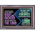 DO THAT WHICH IS RIGHT AND GOOD IN THE SIGHT OF THE LORD  Righteous Living Christian Acrylic Frame  GWANCHOR10533  "33X25"