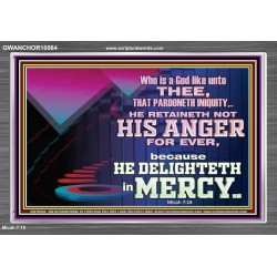 THE LORD DELIGHTETH IN MERCY  Contemporary Christian Wall Art Acrylic Frame  GWANCHOR10564  "33X25"