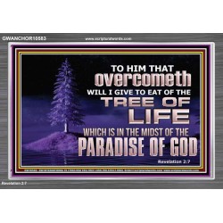 HE THAT OVERCOMETH  Bible Verse Acrylic Frame  GWANCHOR10583  "33X25"