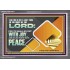 GO OUT WITH JOY AND BE LED FORTH WITH PEACE  Custom Inspiration Bible Verse Acrylic Frame  GWANCHOR10617  "33X25"