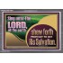 TESTIFY OF HIS SALVATION DAILY  Unique Power Bible Acrylic Frame  GWANCHOR10664  "33X25"