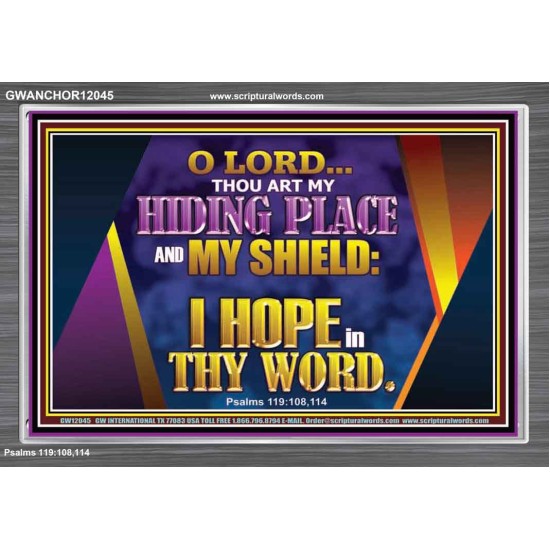 THOU ART MY HIDING PLACE AND SHIELD  Bible Verses Wall Art Acrylic Frame  GWANCHOR12045  