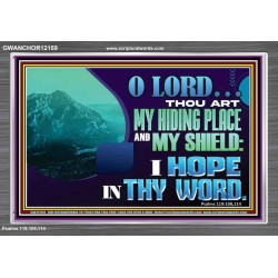 THOU ART MY HIDING PLACE AND SHIELD  Large Custom Acrylic Frame   GWANCHOR12159  "33X25"