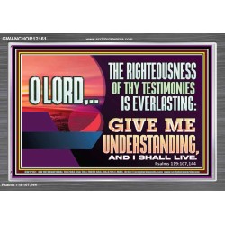 THE RIGHTEOUSNESS OF THY TESTIMONIES IS EVERLASTING O LORD  Bible Verses Acrylic Frame Art  GWANCHOR12161  "33X25"
