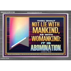 THOU SHALT NOT LIE WITH MANKIND AS WITH WOMANKIND IT IS ABOMINATION  Bible Verse for Home Acrylic Frame  GWANCHOR12169  "33X25"