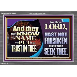 THEY THAT KNOW THY NAME WILL NOT BE FORSAKEN  Biblical Art Glass Acrylic Frame  GWANCHOR12983  "33X25"