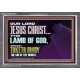 THE LAMB OF GOD WHICH TAKETH AWAY THE SIN OF THE WORLD  Children Room Wall Acrylic Frame  GWANCHOR12991  