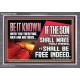 IF THE SON THEREFORE SHALL MAKE YOU FREE  Ultimate Inspirational Wall Art Acrylic Frame  GWANCHOR13066  