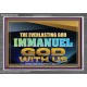 EVERLASTING GOD IMMANUEL..GOD WITH US  Contemporary Christian Wall Art Acrylic Frame  GWANCHOR13105  