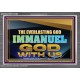 THE EVERLASTING GOD IMMANUEL..GOD WITH US  Scripture Art Acrylic Frame  GWANCHOR13134B  
