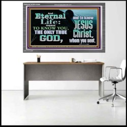 ETERNAL LIFE ONLY THROUGH CHRIST JESUS  Children Room  GWANCHOR10396  "33X25"