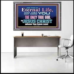 CHRIST JESUS THE ONLY WAY TO ETERNAL LIFE  Sanctuary Wall Acrylic Frame  GWANCHOR10397  "33X25"