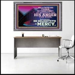 THE LORD DELIGHTETH IN MERCY  Contemporary Christian Wall Art Acrylic Frame  GWANCHOR10564  "33X25"