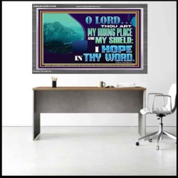 THOU ART MY HIDING PLACE AND SHIELD  Large Custom Acrylic Frame   GWANCHOR12159  "33X25"