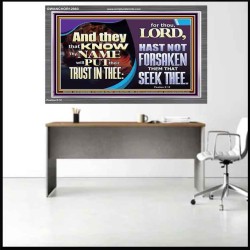 THEY THAT KNOW THY NAME WILL NOT BE FORSAKEN  Biblical Art Glass Acrylic Frame  GWANCHOR12983  "33X25"