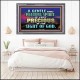 GENTLE AND PEACEFUL SPIRIT VERY PRECIOUS IN GOD SIGHT  Bible Verses to Encourage  Acrylic Frame  GWANCHOR10496  