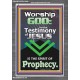 TESTIMONY OF JESUS IS THE SPIRIT OF PROPHECY  Kitchen Wall Décor  GWANCHOR10046  