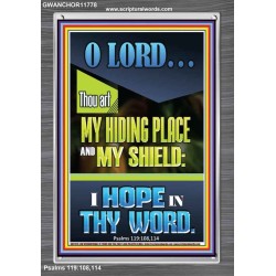 JEHOVAH OUR HIDING PLACE AND SHIELD  Encouraging Bible Verses Portrait  GWANCHOR11778  "25x33"