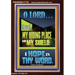 JEHOVAH OUR HIDING PLACE AND SHIELD  Encouraging Bible Verses Portrait  GWARISE11778  "25x33"