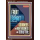 FRUIT OF THE SPIRIT IS IN ALL GOODNESS, RIGHTEOUSNESS AND TRUTH  Custom Contemporary Christian Wall Art  GWARISE11830  