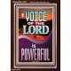 THE VOICE OF THE LORD IS POWERFUL  Scriptures Décor Wall Art  GWARISE11977  
