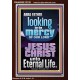 LOOKING FOR THE MERCY OF OUR LORD JESUS CHRIST UNTO ETERNAL LIFE  Bible Verses Wall Art  GWARISE12120  