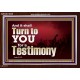 IT SHALL TURN TO YOU FOR A TESTIMONY  Inspirational Bible Verse Acrylic Frame  GWARK10339  