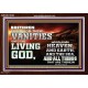 TURN FROM THESE VANITIES TO THE LIVING GOD JEHOVAH  Unique Scriptural Acrylic Frame  GWARK10363  